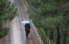 بارش باران و آبگرفتگی معابر در ۱۴ استان کشور