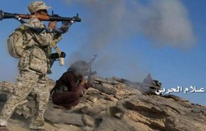 القوات اليمنية تسيطر على جبل دير الإستراتيجي في البيضاء 