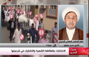 الشيخ عصفور: من الضروري وجود مراقب محايد في انتخابات البحرين