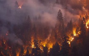 ارتفاع عدد قتلى حرائق غابات كاليفورنيا إلى 42 شخص