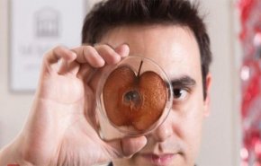 علماء يدرسون أمكانية الحصول على أذن بشرية من التفاح