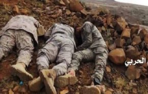 کشته و زخمی شدن بیش از ۹۰ شبه‌نظامی در حمله موشکی یمن