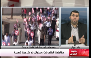 درويش: نسبة المشاركة في انتخابات البحرين تحولت لمادة للسخرية