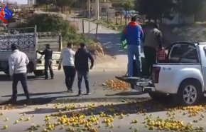 بالفيديو: البضائع السورية تدفع الاردنيين للالقاء بحمضياتهم في الشارع!