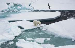 اكتشاف في القطب الشمالي يفجر مفاجأة