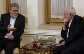 الشعب الفلسطيني مصمم على مواصلة طريقه حتى تحقيق النصر الكامل