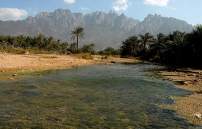 شاهد/ 