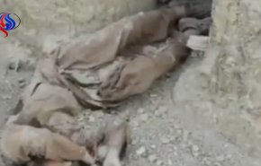 فیلمی منتشرنشده از حملات تروریستی در مرز سیستان و بلوچستان و انهدام گروهک‌ها 