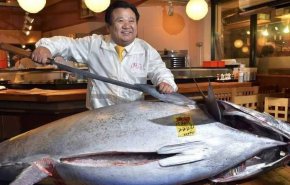 سعر خيالي لاغلى سمكة تونة في العالم!