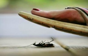 بالفيديو .. بعد 