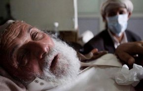 شاهد؛ انفلونزا الخنازير خطر جديد يهدد حياة اليمنيين