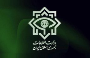 وزارت اطلاعات ۱۹ سرشاخه یک شبکه هرمی را دستگیر کرد