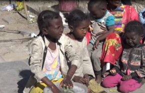 فيديو صادم.. اطفال مرضى وآرامل شردهم العدوان بشوارع اليمن