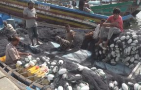 صباح جدید - اليمن.. معاناة الصيادين في الحديدة مع تهديدات العدوان
