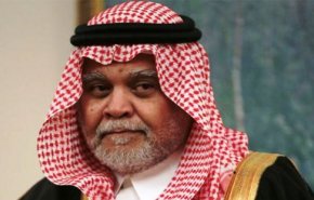 هذا ما قاله إبن سلطان عن 'تأثر' قطر بالإخوان المسلمين