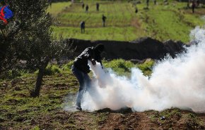 الجامعة العربية تدين هجوم المستوطنين على قرية 