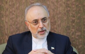 صالحی: ایران در همه زمینه‌های هسته‌ای قادر به «طراحی» است/ توانایی غنی‌سازی اورانیوم در هر سطح بالایی را داریم