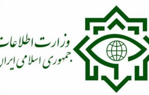 وزارت اطلاعات، 3 باند بزرگ قاچاق سوخت را در استان فارس کشف کرد