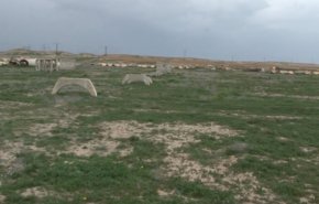 بالفيديو.. القوات السورية تعثر على مقابر جماعية لـ’داعش’ بالميادين