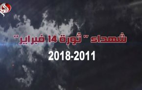 آمار شهدا، بازداشت شدگان و سلب تابعیت شدگان بحرینی پس از انقلاب 14 فوریه