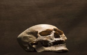 اكتشاف جمجمة بشرية نادرة تثير دهشة علماء الآثار