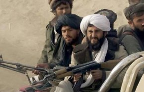 350 عضو طالبان در یک هفته گذشته کشته شدند