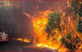 فيديو مدهش.. موجة حر تشعل عشرات الحرائق في أستراليا
