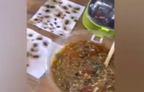 بالفيديو: امرأة تعثر على 40 صرصورا في وجبتها الجاهزة
