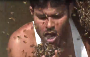 فيديو صادم رجل يأكل آلاف النحلات حية