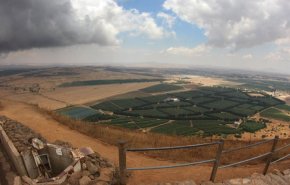 شاهد...السيد نصر الله: المبادرة العربية للسلام ميتة والاحتلال لا يعترف بها