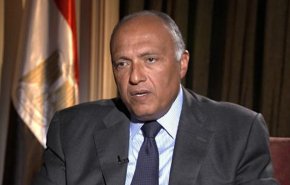 وزير الخارجية المصري: الجولان أرض عربية محتلة من قبل 