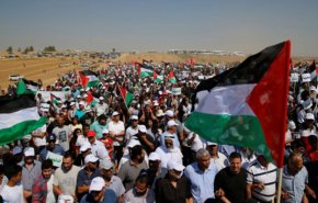 آمادگی فلسطینیان برای حضور در راهپیمایی گسترده 'روز زمین' + فیلم