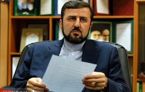 ايران تؤكد ضرورة التعاون الدولي لمواجهة جرائم سايبرية
