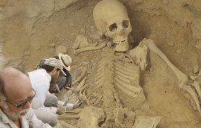أسنان عمرها 240 ألف سنة تكشف عن سلف بشري