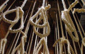 عربستان رکورد اعدام در کشورهای عربی را زد 
