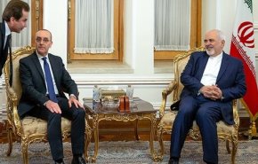 ظریف با رئیس کمیسیون سیاست خارجی و مهاجرت مجلس سنای ایتالیا دیدار کرد