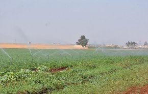 الغوطة الشرقية تشهد طفرة زراعية بعد عام على تحريرها