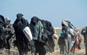 دولة اوروبية تعيد عائلات ارهابيين من سوريا