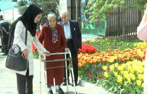 بالفيديو.. 220 ألف زهرة توليب تزين أرصفة طهران تكريما للأمومة