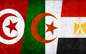 تونس والجزائر توجهان دعوة عاجلة إلى مصر