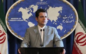 موسوی: وزارت خارجه از بانیان لایحه تابعیت فرزندان مادران ایرانی است