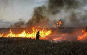 حرائق في غلاف غزة بفعل البالونات الحارقة
