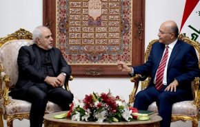 ظريف وصالح يؤكدان ضرورة 