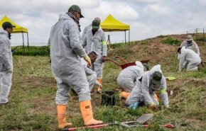 البدء باجراءات التعرف على 141 جثة استخرجت من مقابر جماعية في سنجار