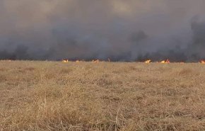النار تأكل المحاصيل الزراعية غربي الموصل