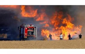 بالفيديو .. الحرائق تجتاح تونس وتهدد المحاصيل الزراعية  