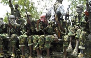 مقتل نحو 30 في هجوم لجماعة بوكو حرام شمال الكاميرون