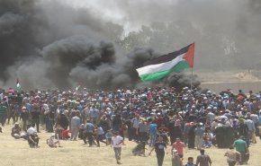 جماهير قطاع غزة تتجهز لـ 