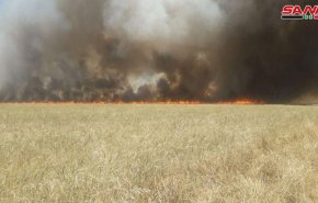 قذائف صاروخية وحرائق في أراضي زراعية بريف حماة الشمالي