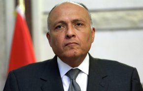 وزير الخارجية المصري يبحث  ونظيره الإريتري المعارك في تيغراي